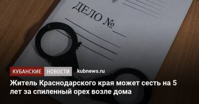 Житель Краснодарского края может сесть на 5 лет за спиленный орех возле дома - kubnews.ru - Краснодарский край - Ейск