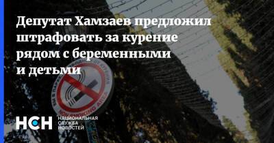 Владимир Круглый - Депутат Хамзаев предложил штрафовать за курение рядом с беременными и детьми - nsn.fm - Россия - Запрет