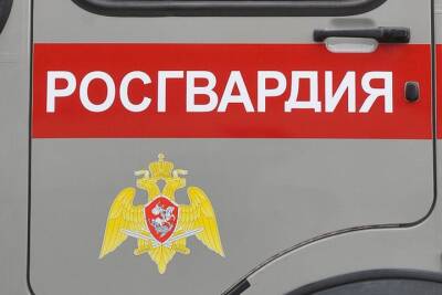 Обезглавленное тело пропавшего подполковника Росгвардии нашли в Тульской области - vm.ru - Тульская обл.