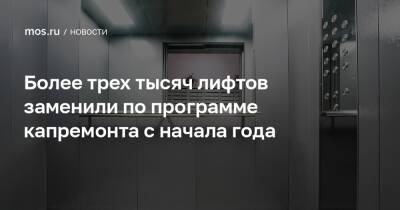 Петр Бирюков - Более трех тысяч лифтов заменили по программе капремонта с начала года - mos.ru - Москва - Московская обл. - округ Москвы