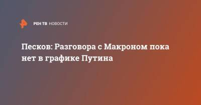 Владимир Путин - Дмитрий Песков - Эммануэль Макрон - Эммануэль Макроном - Песков: Разговора с Макроном пока нет в графике Путина - ren.tv - Россия - Украина - Франция