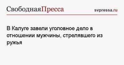 В Калуге завели уголовное дело в отношении мужчины, стрелявшего из ружья - svpressa.ru - Россия - Красноярский край - Лос-Анджелес