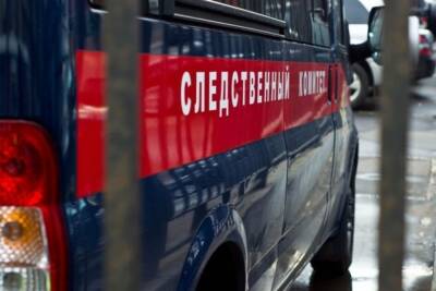 Появились детали смерти обезглавленного росгвардейца: внебрачный ребенок и сгоревшее авто - mk.ru - Россия - Тула - Тульская обл.