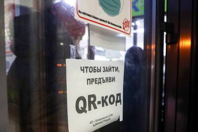 Татьяна Москалькова - Эксперты обнаружили недочеты в законопроектах о QR-кодах - tvc.ru - Россия