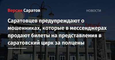 Саратовцев предупреждают о мошенниках, которые в мессенджерах продают билеты на представления в саратовский цирк за полцены - nversia.ru