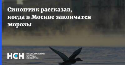 Александр Синенков - Синоптик рассказал, когда в Москве закончатся морозы - nsn.fm - Москва