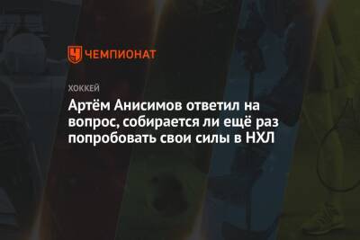 Андрей Скабелка - Артем Анисимов - Артём Анисимов ответил на вопрос, собирается ли ещё раз попробовать свои силы в НХЛ - championat.com - шт. Колорадо