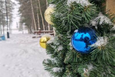 В офисах МФЦ Казани идет акция поддержки пациентов хосписа - kazan.mk.ru - респ. Татарстан - Казань