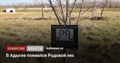 В Адыгее появился Родовой лес - kubnews.ru - респ. Адыгея