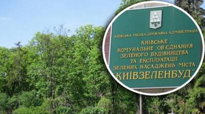 Хищение в 115 миллионов "Киевзеленбуда": НАБУ вручило новые подозрения - epravda.com.ua - Украина - Киев - Киев