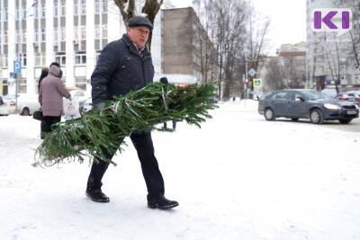Алексей Кузнецов - В предновогодний период охрана хвойных молодняков в Коми будет усилена - komiinform.ru - респ. Коми