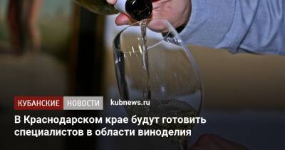 В Краснодарском крае будут готовить специалистов в области виноделия - kubnews.ru - Краснодарский край