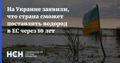 Сергей Макогон - На Украине заявили, что страна сможет поставлять водород в ЕС через 10 лет - nsn.fm - Украина - Европа