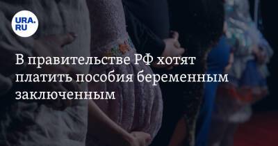 В правительстве РФ хотят платить пособия беременным заключенным - ura.news - Россия