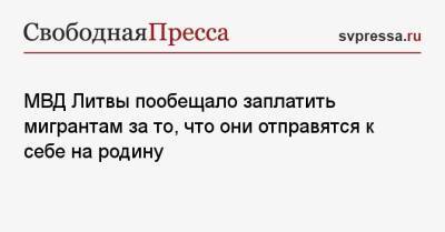 МВД Литвы пообещало заплатить мигрантам за то, что они отправятся к себе на родину - svpressa.ru - Россия - Белоруссия - Литва