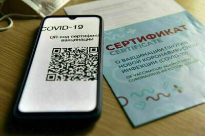 Юрий Гоцанюк - На массовые мероприятия в Крыму будут пускать при наличии QR-кодов - pnp.ru - Крым