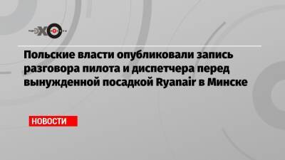Станислав Жарин - Польские власти опубликовали запись разговора пилота и диспетчера перед вынужденной посадкой Ryanair в Минске - echo.msk.ru - Польша - Минск - Варшава