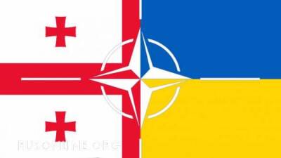 МИД призвал дезавуировать решение о включении Украины и Грузии в НАТО - rusonline.org - Россия - США - Украина - Грузия