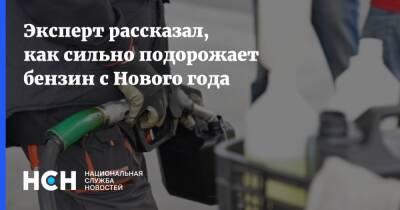 Павел Баженов - Эксперт рассказал, как сильно подорожает бензин с Нового года - nsn.fm - Россия