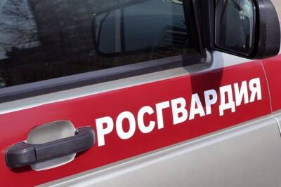 Росгвардейцы оказали помощь получившей травму женщине в центре Москвы - vm.ru - Москва - Москва