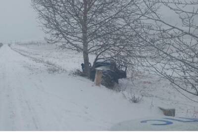 Неопытный водитель в Бурятии врезался в одинокое дерево в степи - ulan.mk.ru - респ.Бурятия - район Джидинский - Закаменск