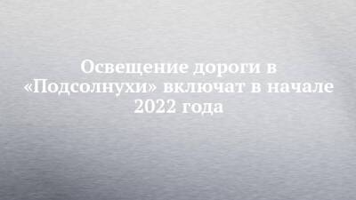 Андрей Филиппов - Освещение дороги в «Подсолнухи» включат в начале 2022 года - chelny-izvest.ru - Набережные Челны