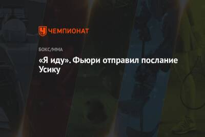 Василий Ломаченко - Александр Усик - Фьюри Тайсон - Ричард Комми - «Я иду». Фьюри отправил послание Усику - championat.com - США