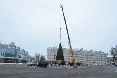 Главную городскую ель начали монтировать в Пскове - mk-pskov.ru - Псков