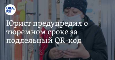 Юрист предупредил о тюремном сроке за поддельный QR-код - ura.news - Москва - Московская обл.