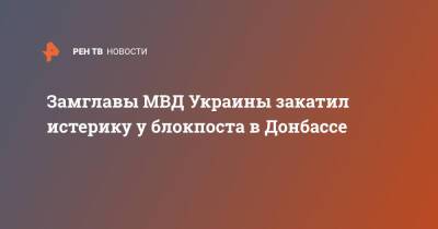 Александр Гогилашвили - Замглавы МВД Украины закатил истерику у блокпоста в Донбассе - ren.tv - Украина - Донбасс - Донецкая обл.