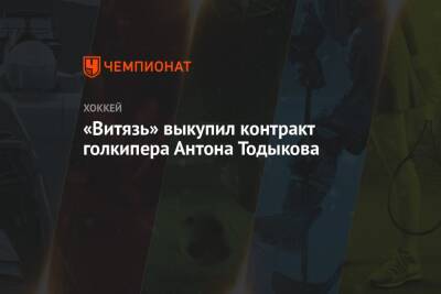 «Витязь» выкупил контракт голкипера Антона Тодыкова - championat.com - Россия - Московская обл.