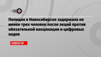 Полиция в Новосибирске задержала не менее трех человек после акций против обязательной вакцинации и цифровых кодов - echo.msk.ru - Новосибирск