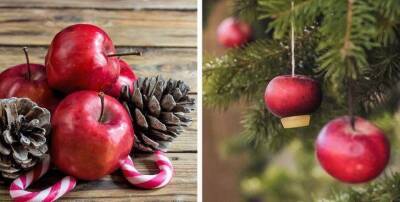 Необычные традиции украшения новогодней ёлки в разных странах - skuke.net - Германия