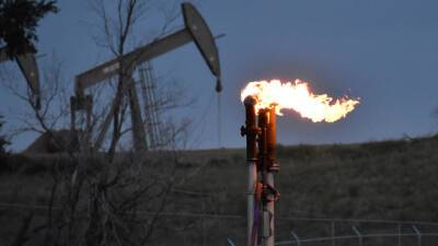 Американцы продадут 18 миллионов баррелей нефти из стратрезерва - vesti.ru - США