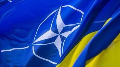 Йенс Столтенберг - Столтенберг исключил компромиссы с РФ по решению Украины войти в НАТО - 5-tv.ru - Россия - Украина - Киев - Грузия