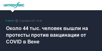 Австрия - Около 44 тыс. человек вышли на протесты против вакцинации от COVID в Вене - interfax.ru - Москва - Австрия - Вена