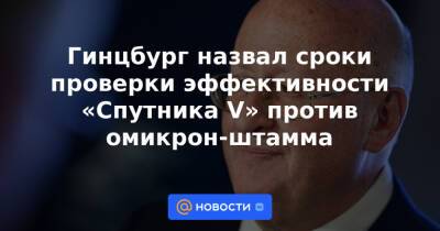 Гинцбург назвал сроки проверки эффективности «Спутника V» против омикрон-штамма - news.mail.ru - Австрия - Египет - Япония - Швеция - Испания - Канада - Юар