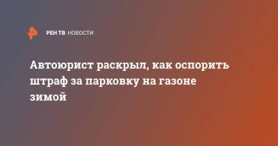 Автоюрист раскрыл, как оспорить штраф за парковку на газоне зимой - ren.tv