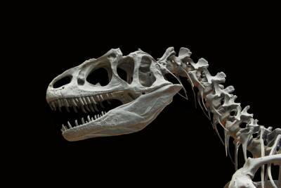 Ученые определили время года, когда начали вымирать динозавры - mk.ru - Англия - штат Северная Дакота
