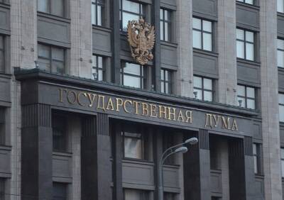 Светлана Бессараб - В Госдуме рассказали, какие нововведения ожидают россиян в 2022 году - ya62.ru