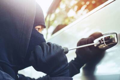 Полиция задержала 39 профессиональных автоворов в Петербурге за 2021 год - spb.mk.ru - Россия - Санкт-Петербург