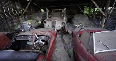 В старом сарае обнаружена коллекция авто стоимостью миллионы долларов (видео) - focus.ua - Украина - Англия