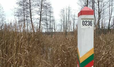 Александр Лукашенко - Литва заявила о десятках выстрелов на границе со стороны Белоруссии - newizv.ru - Белоруссия - Польша - Литва - Минск - Латвия