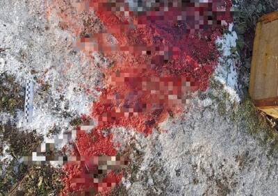 В Рязанской области убили таксиста, после чего попытались сжечь его тело - ya62.ru - Россия - Рязанская обл. - Рязань