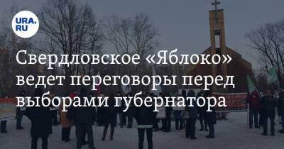 Максим Петлин - Свердловское «Яблоко» ведет переговоры перед выборами губернатора. Видео - ura.news - Россия - Свердловская обл.