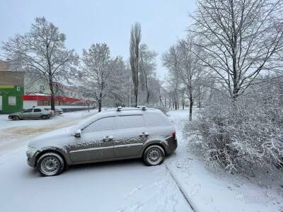 Погодные интересности: пока одну часть Липецка заметает снегом, в другой – ни снежинки - lipetskmedia.ru - Липецк