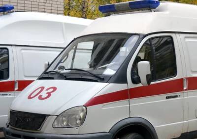 В Королеве катавшаяся на тюбинге девятилетняя девочка попала под электричку - actualnews.org - Москва - Фрязино