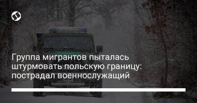 Группа мигрантов пыталась штурмовать польскую границу: пострадал военнослужащий - liga.net - Украина - Белоруссия