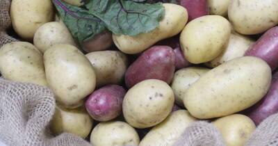 Исследователи узнали, что картофель помогает от гипертонии - ren.tv
