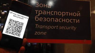 Вячеслав Володин - Минтранс заявил о дальнейшей проработке закона о QR-кодах на транспорте - iz.ru - Россия - Израиль